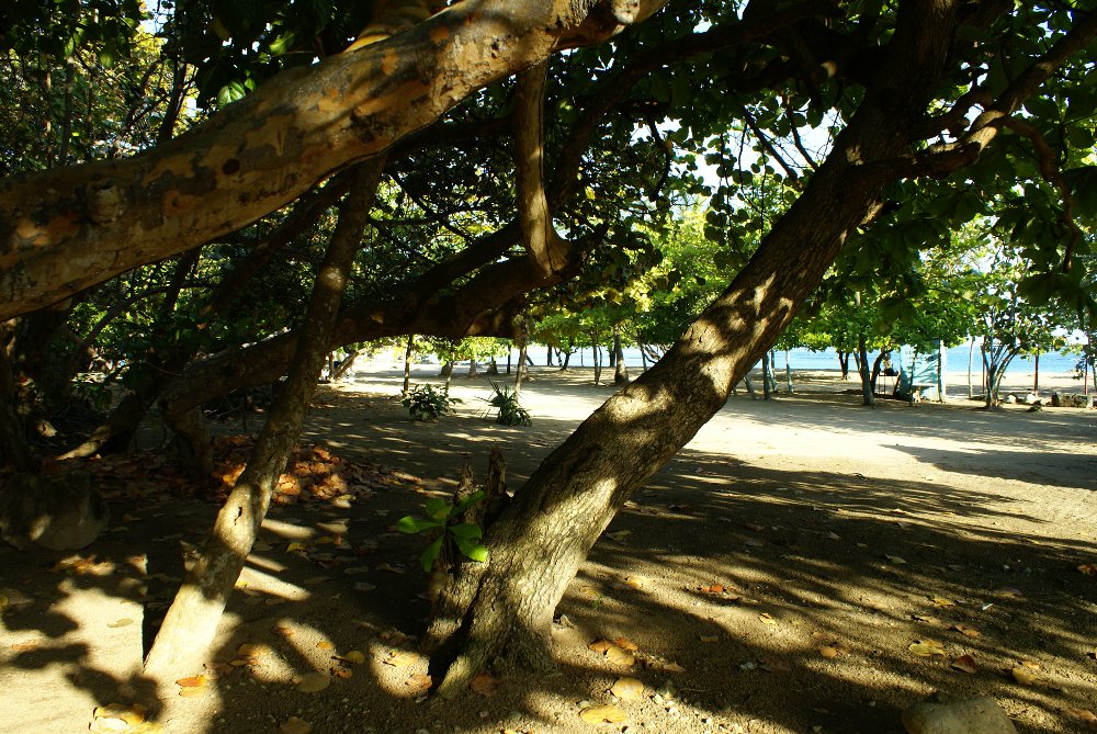 Photos of Apartments Costambar on the beach Costambar in Puerto Plata, Dominican Republic
